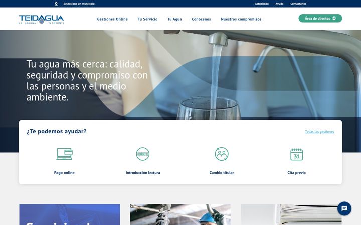 Screenshot of teidagua.es