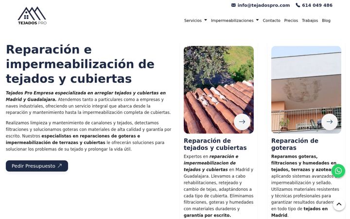 Екранна снимка на tejadospro.com