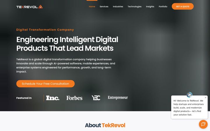 Screenshot of tekrevol.com