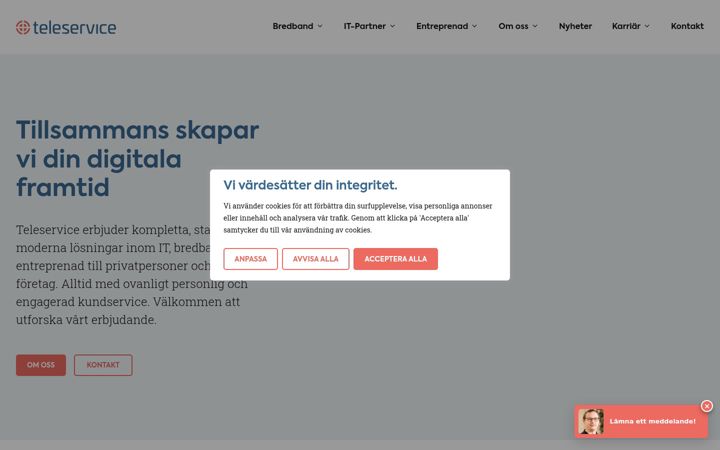 Screenshot of teleservice.net