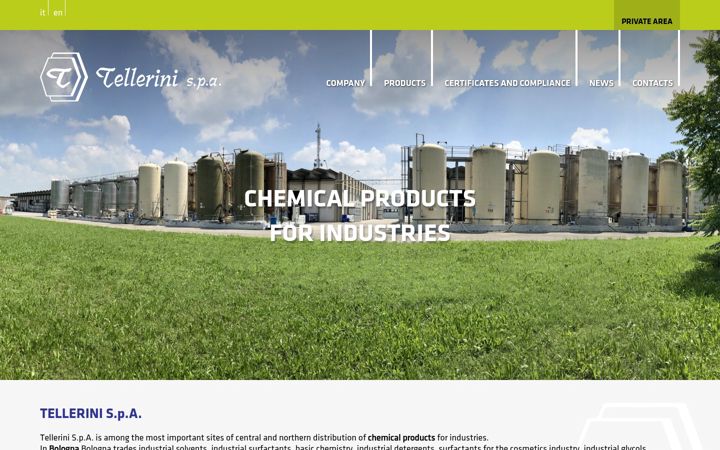 Screenshot of tellerini.it