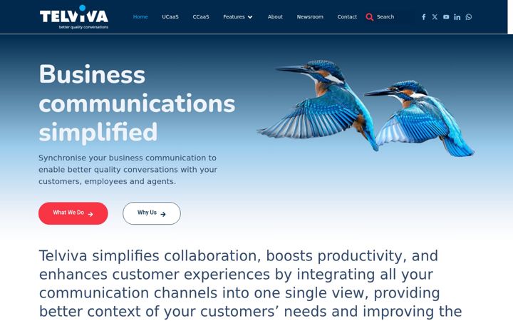 Screenshot ta' telviva.com
