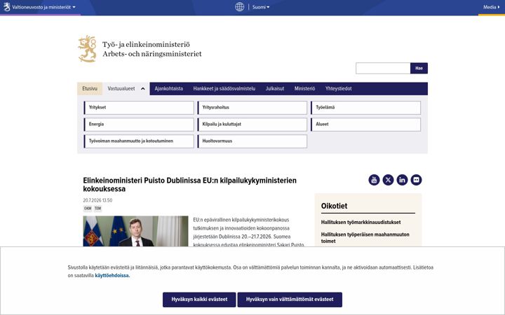 Screenshot of tem.fi