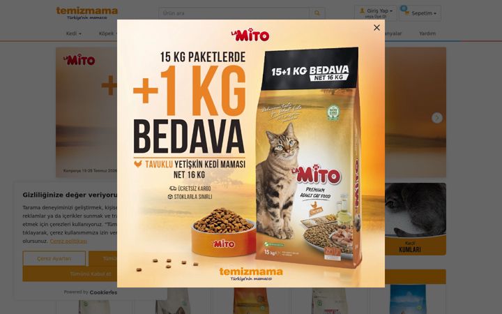 Screenshot of temizmama.com