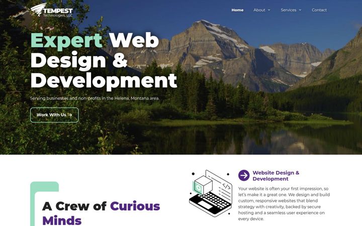 Screenshot of tempesttech.com