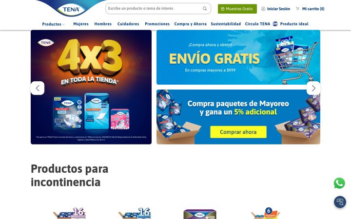 Screenshot stránky tena.com.mx