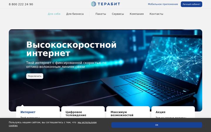 Screenshot of terabitvu.ru