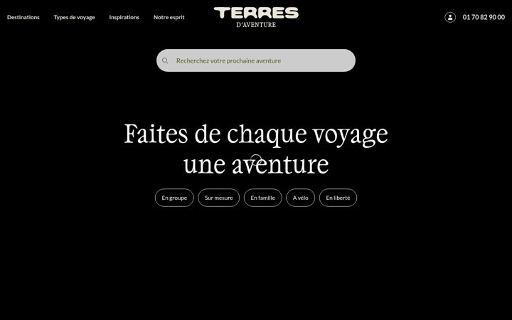 Screenshot of terdav.com