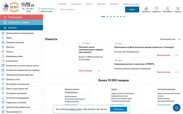 Screenshot of teremonline.ru