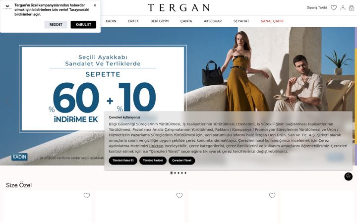 Screenshot of tergan.com.tr