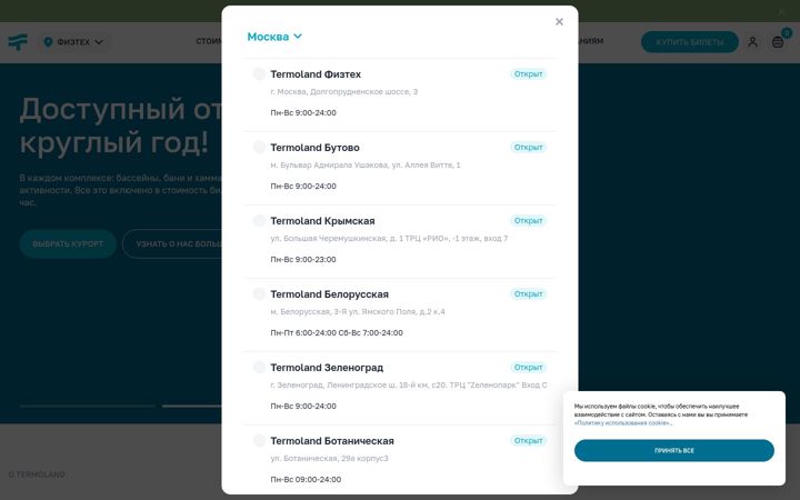 Screenshot ta' termoland.ru