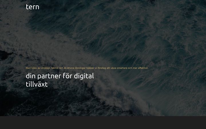 Screenshot of tern.agency