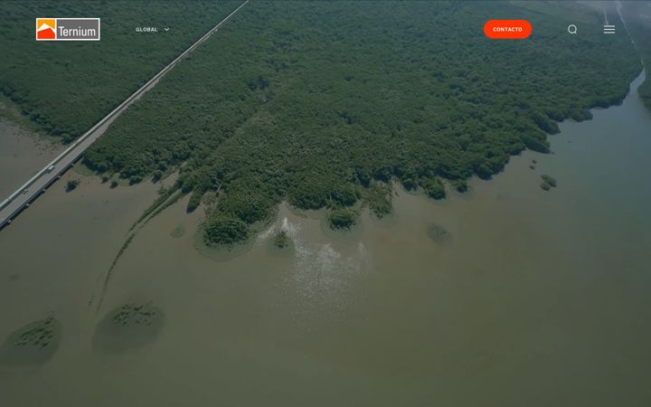 Screenshot of ternium.com