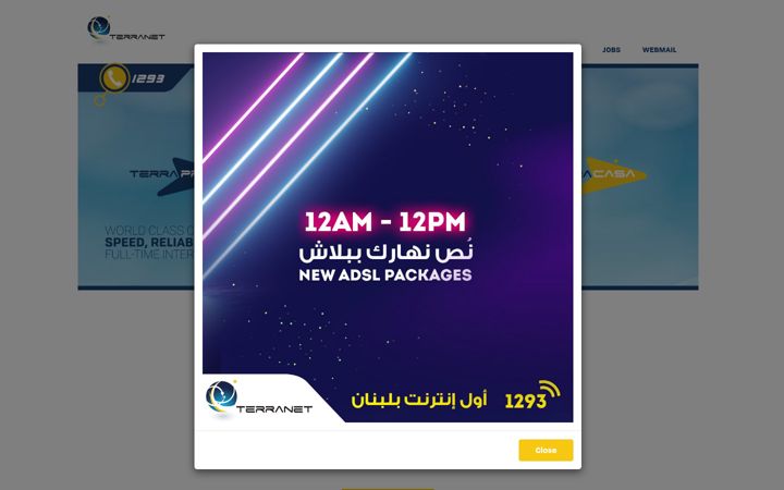 Screenshot of terra.net.lb