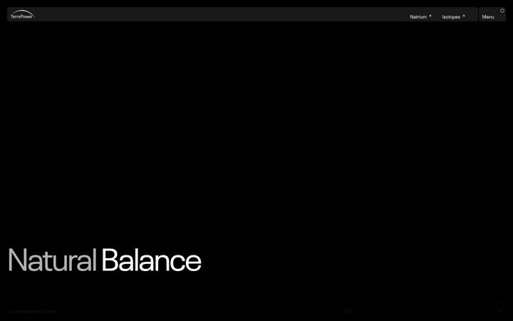Screenshot of terrapower.com