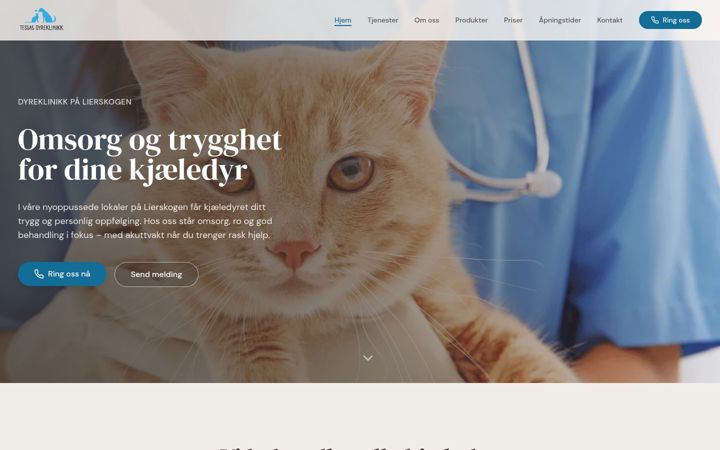 Snimka zaslona za tessasdyreklinikk.no