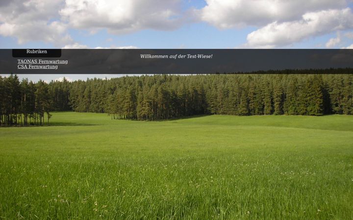Screenshot of test-wiese.de