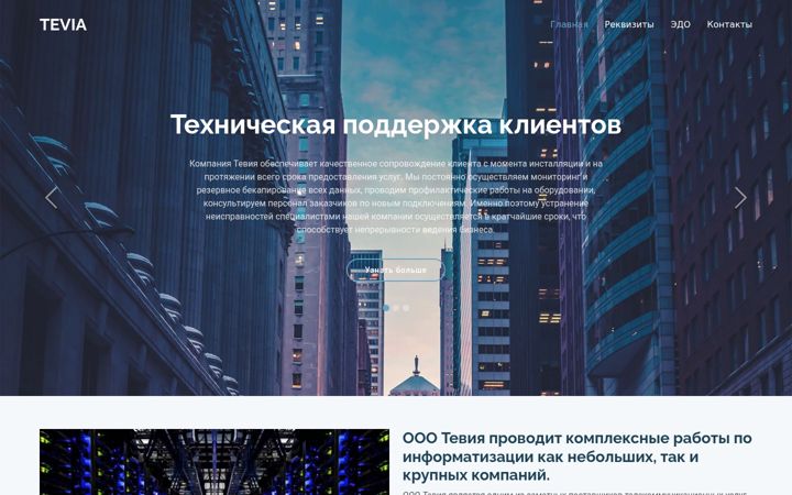 Screenshot of tevia.ru