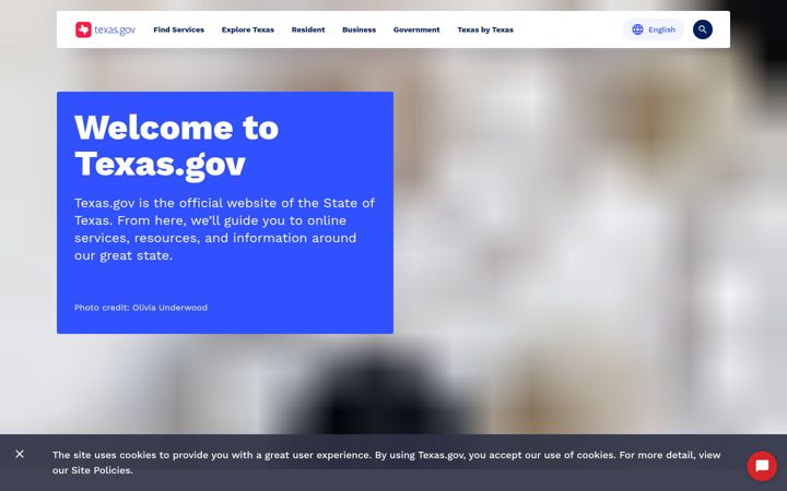 Screenshot di texas.gov