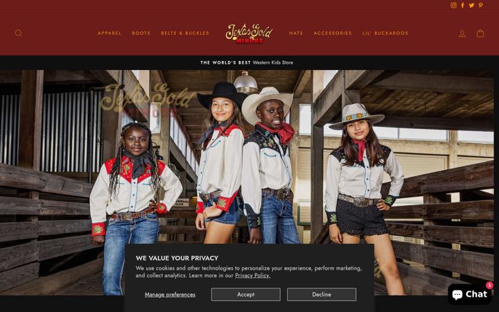 Screenshot of texasgoldminors.com