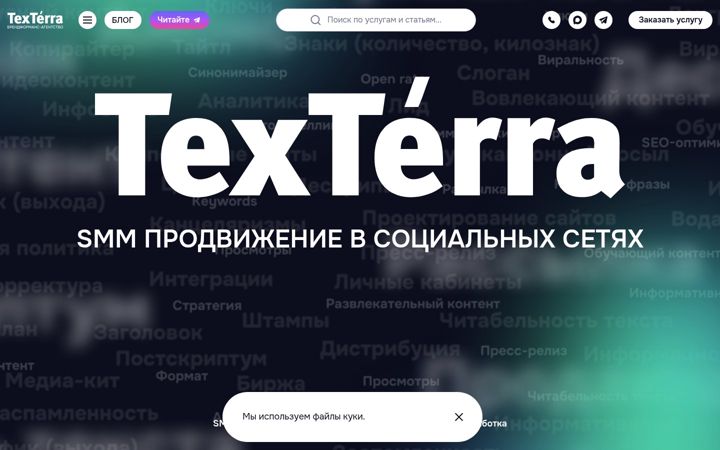 Screenshot of texterra.ru