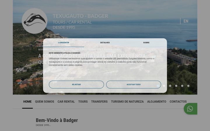 Screenshot of texugauto.com