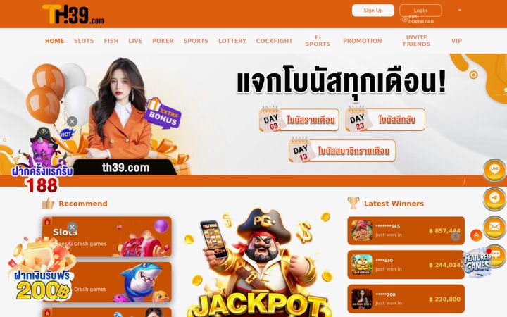 Screenshot of th3916.com