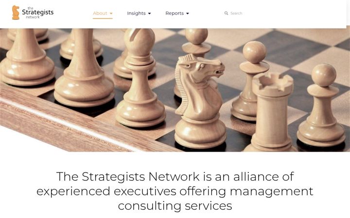 Screenshot of the-strategists-network.com