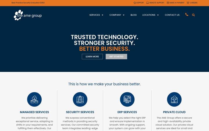 theamegroup.com