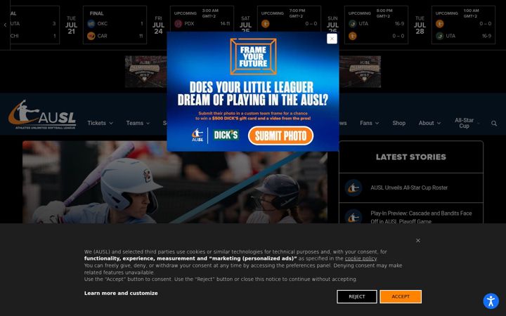 Screenshot of theausl.com