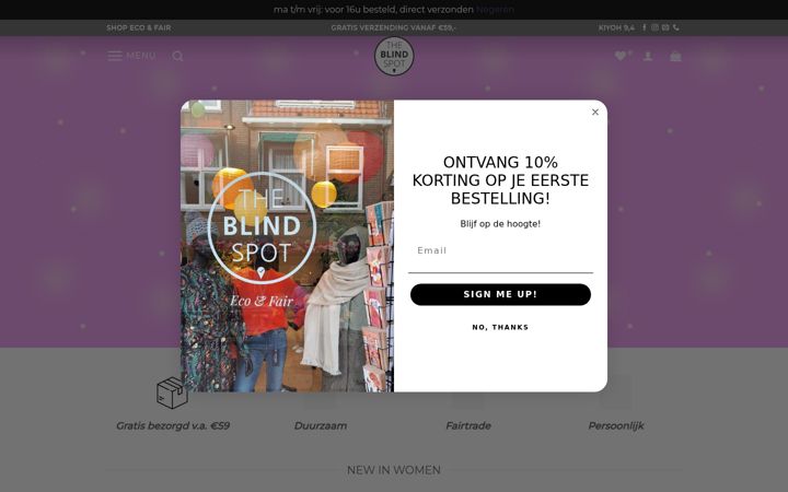 Skjámynd af theblindspot.nl