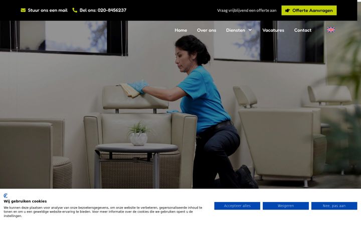 Skärmbild av thecleaningcrew.nl