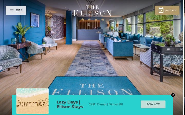 Screenshot of theellisonhotel.ie