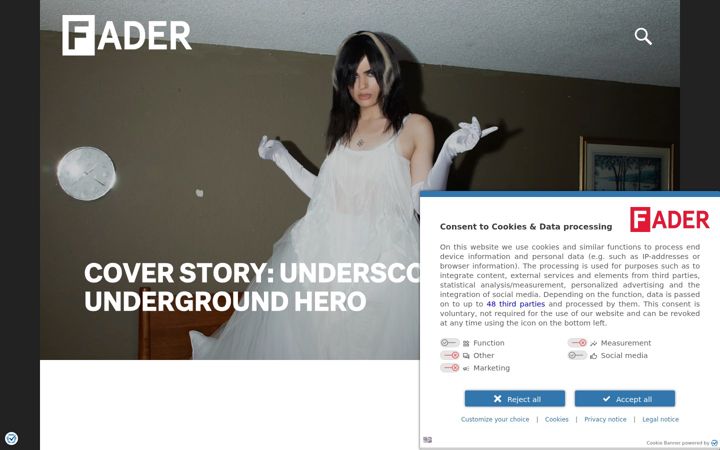 Screenshot von thefader.com
