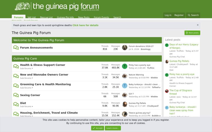 Képernyőkép: theguineapigforum.co.uk