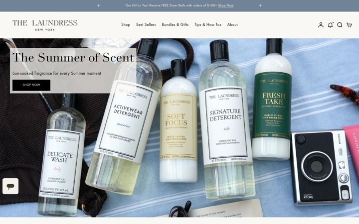 Screenshot of thelaundress.com