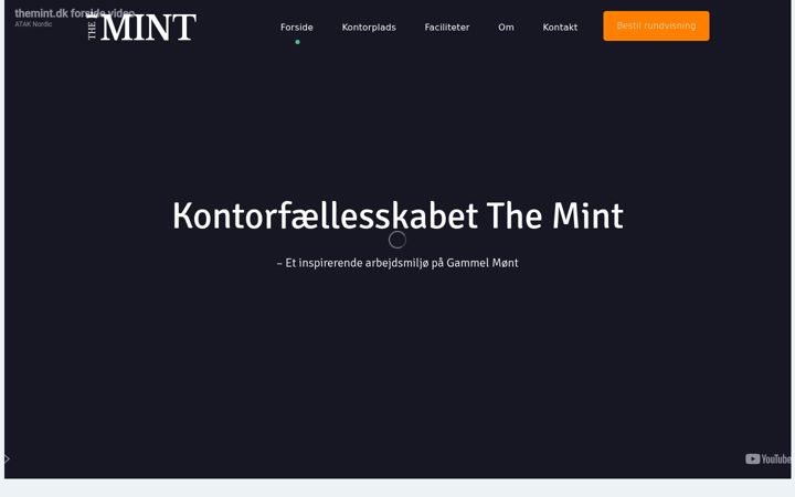 Zrzut ekranu themint.dk
