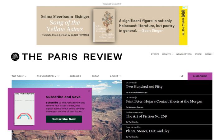 theparisreview.org