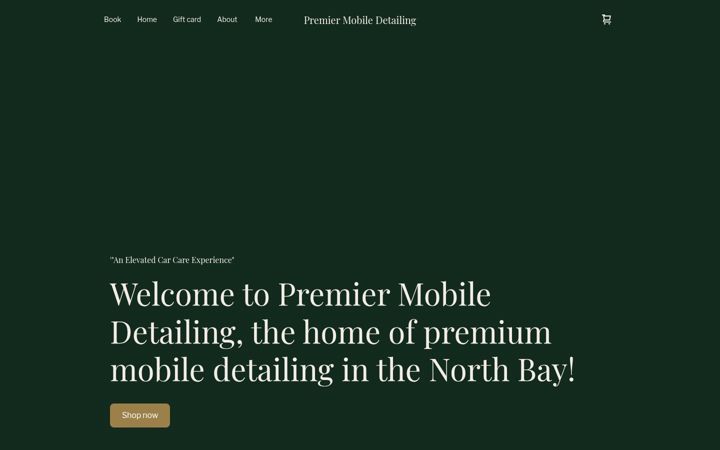 thepremierdetail.com