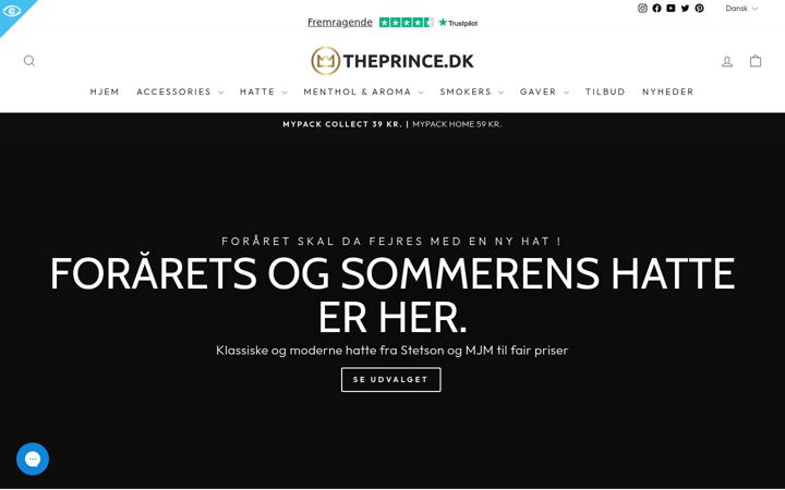 Screenshot von theprince.dk