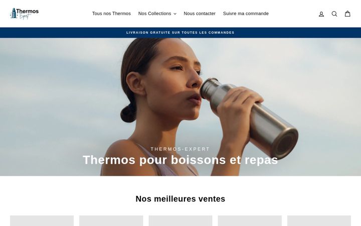 Screenshot of thermos-expert.com