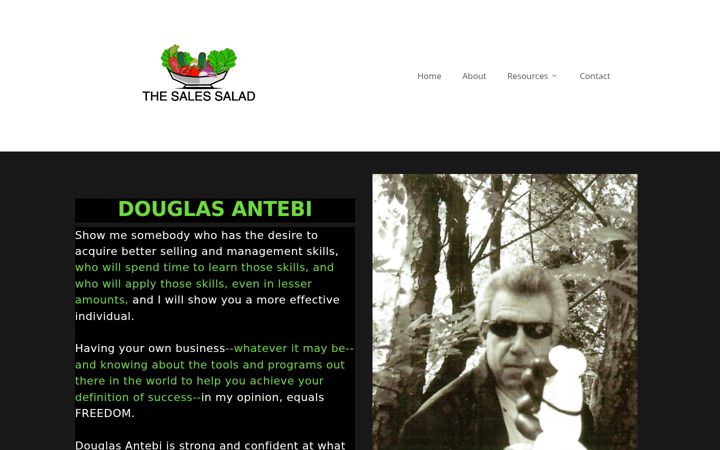 Snimka zaslona za thesalessalad.com