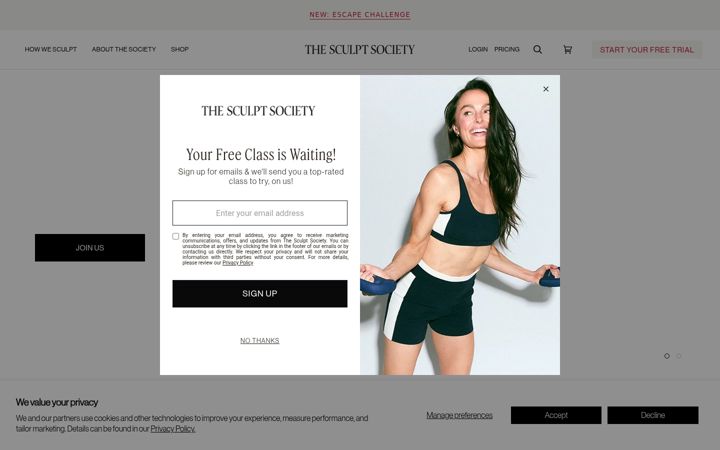 Screenshot of thesculptsociety.com