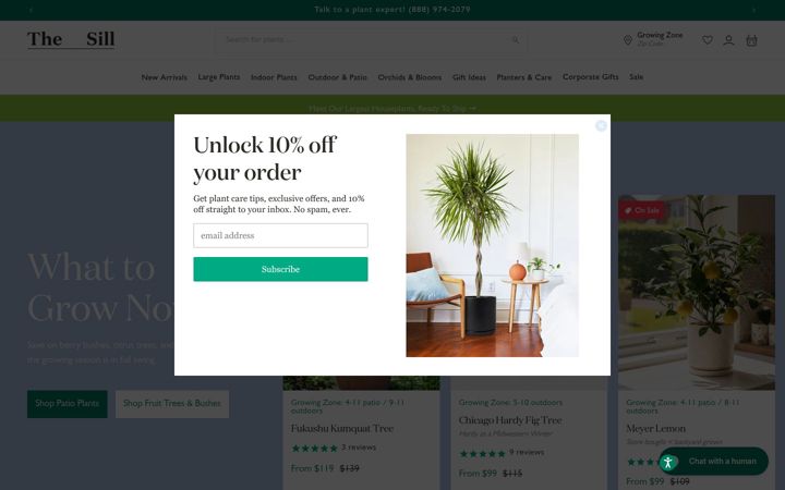 Screenshot of thesill.com