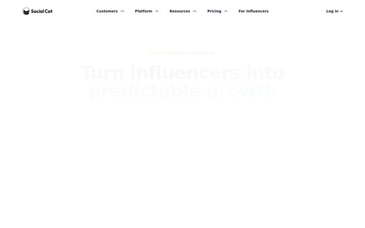 Screenshot of thesocialcat.com