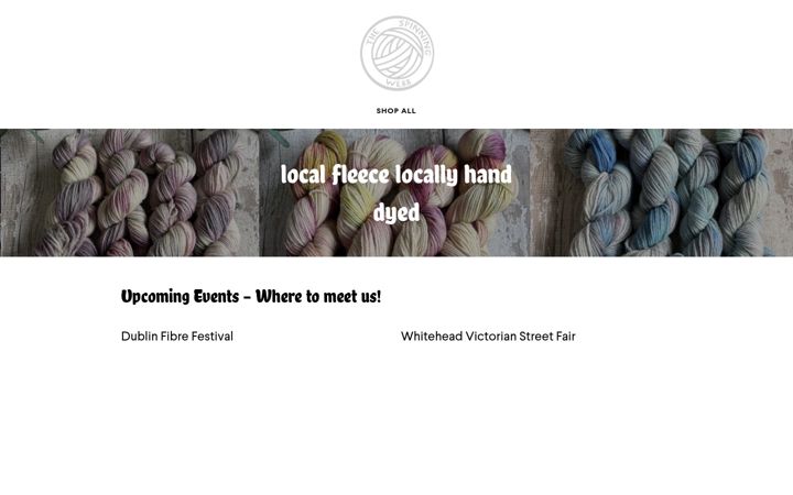 thespinningwebb.com