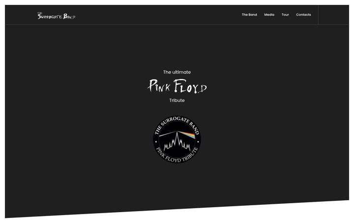 Screenshot of thesurrogateband.it