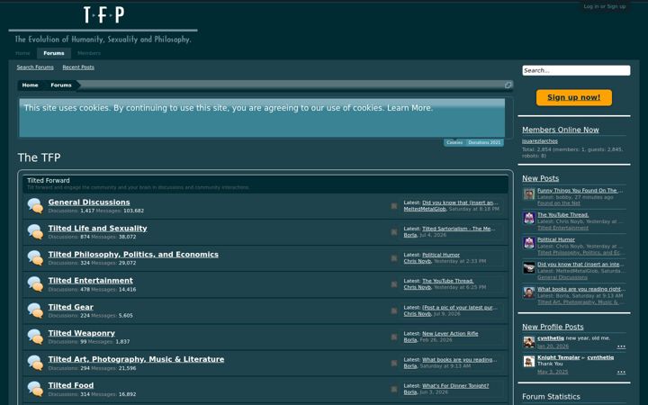 Screenshot of thetfp.com