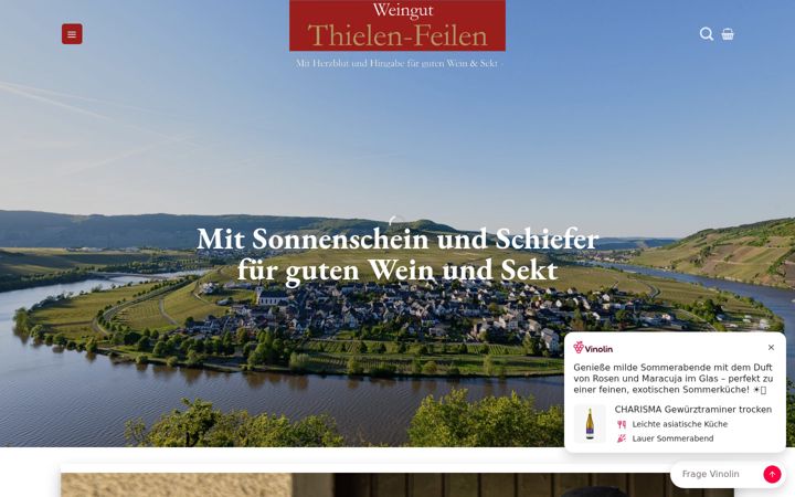 Ekrano kopija thielen-feilen.de