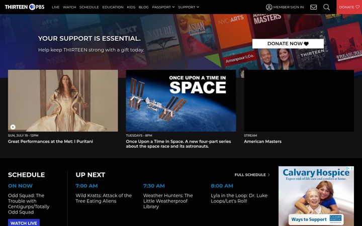 Screenshot ta' thirteen.org